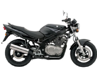 Suzuki gs 500 2004 on sale
