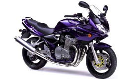 SUZUKI GSF 600 S Bandit / .2001 Original Spare Parts