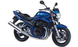 Gsf 650 bandit hot sale 2005
