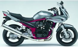 Suzuki gsf 650 on sale bandit 2010