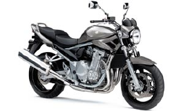 SUZUKI GSF 1250 Bandit / 2009. Original Spare Parts