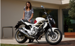 SUZUKI SFV 650 Gladius / 2009 Original Spare Parts