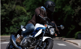 SUZUKI SFV 650 Gladius / 2013 Original Spare Parts
