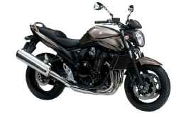 SUZUKI GSF 1250 Bandit / 2010. Original Spare Parts