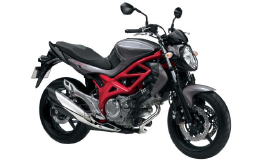 Suzuki SFV 650 Gladius / 2014 Original Spare Parts