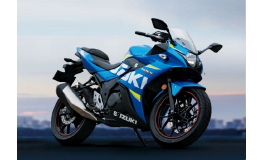 Suzuki GSX 250 R. Original Ersatzteile