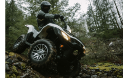 Suzuki ATV & Quad Original Ersatzteile