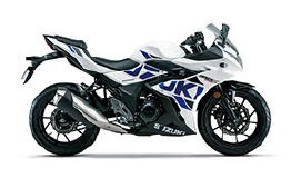 Suzuki GSX 250 R / 2020. / Z Original Ersatzteile