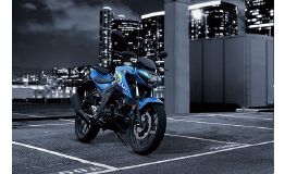 Suzuki GSX-S 125 / .2021 Original Ersatzteile