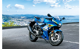 Suzuki GSX-R 125 / .2023 Original Ersatzteile