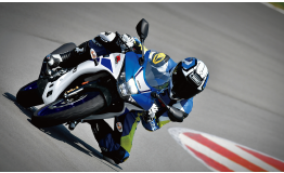 Suzuki GSX-R 125 / .2024 Original Spare Parts