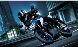 Suzuki GSX-S 125 / .2024 Original Spare Parts