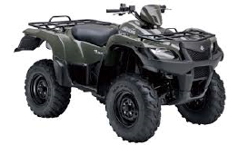 SUZUKI LT-A 450 X / 2008 Original Spare Parts