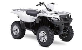 SUZUKI LT-A 450 X / 2009 Original Spare Parts