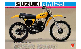 Suzuki RM 100 Original Spare Parts